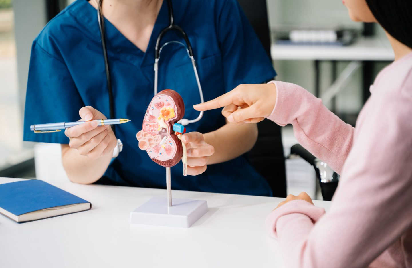 Medical expertise and patient care through anatomical models. Visualize healthcare concepts with a focus on anatomy, guidance, and professional consultation.