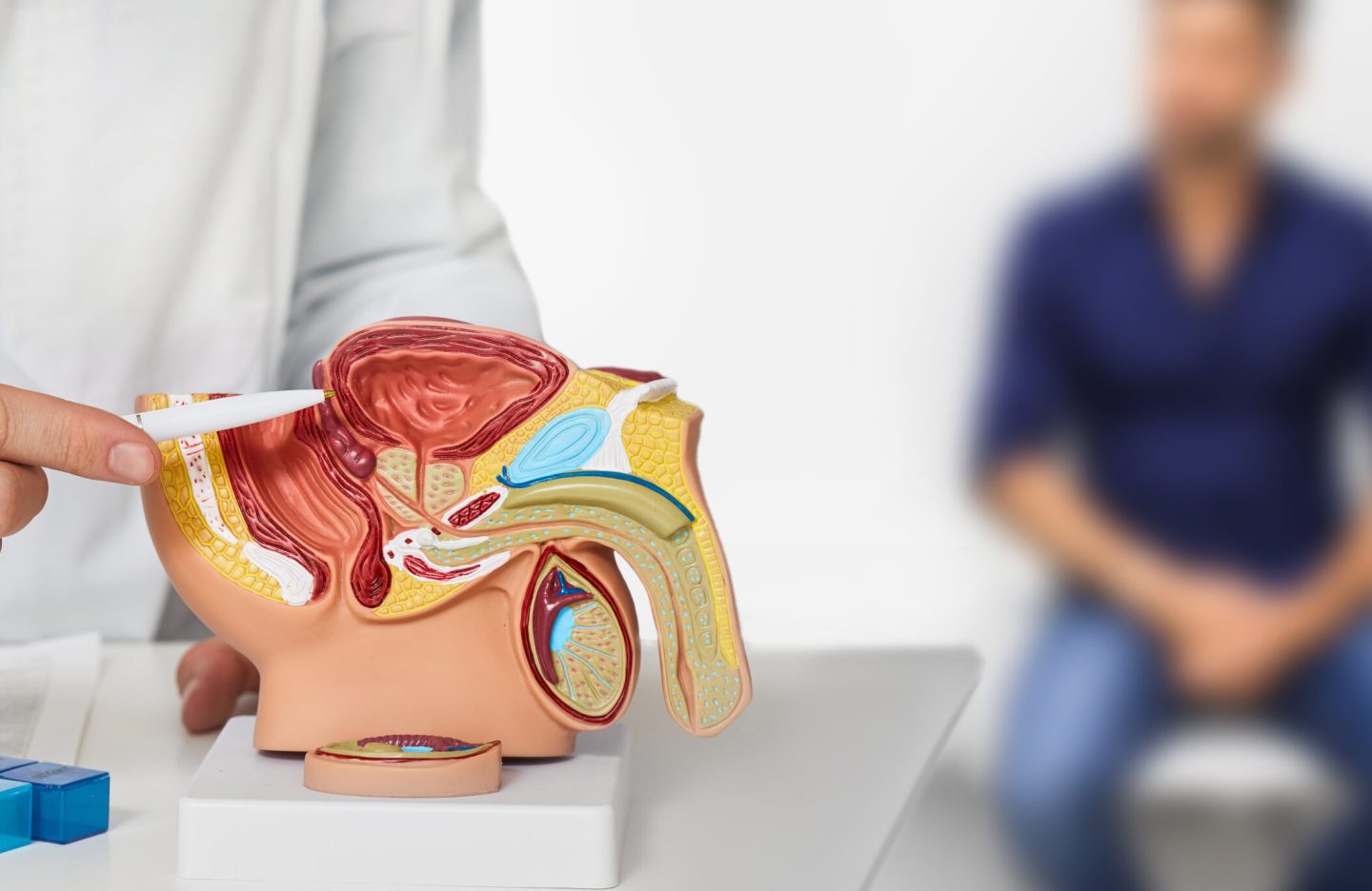 Urologist consultation for male patient. Urology and andrology, treatment of men's diseases and prostatitis